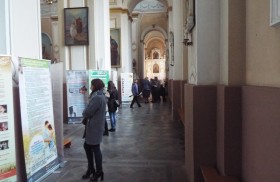 Организация генподрядчик Витебск